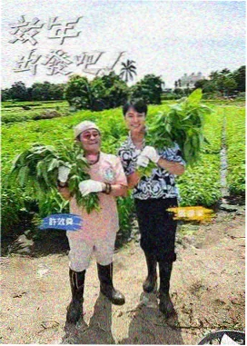 一起去露营吧 户外综艺在线